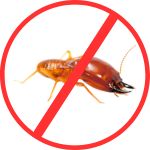 Anti-Termite Treatment Anti-Termite Treatment