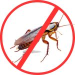 Cockroach Extermination Cockroach Extermination