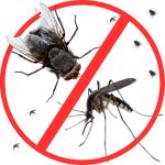 Mosquito & Flies Reduction Mosquito & Flies Reduction