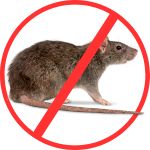 Rats & Rodent Control Rats & Rodent Control
